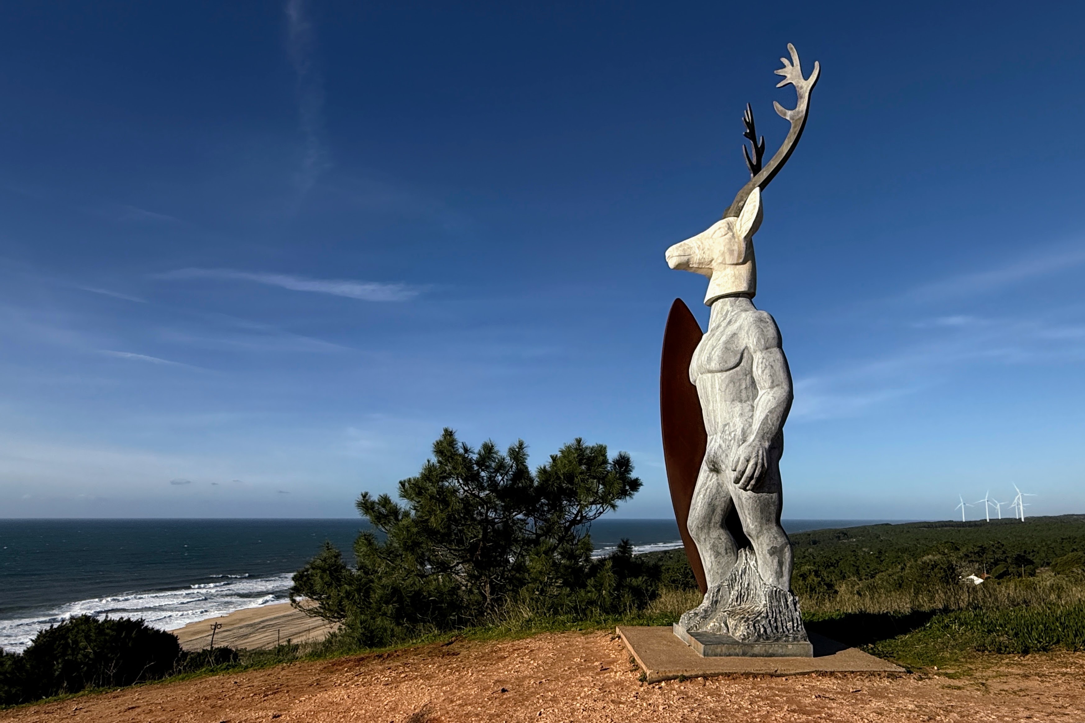 Beeld aan de kust in Nazare, Portugal