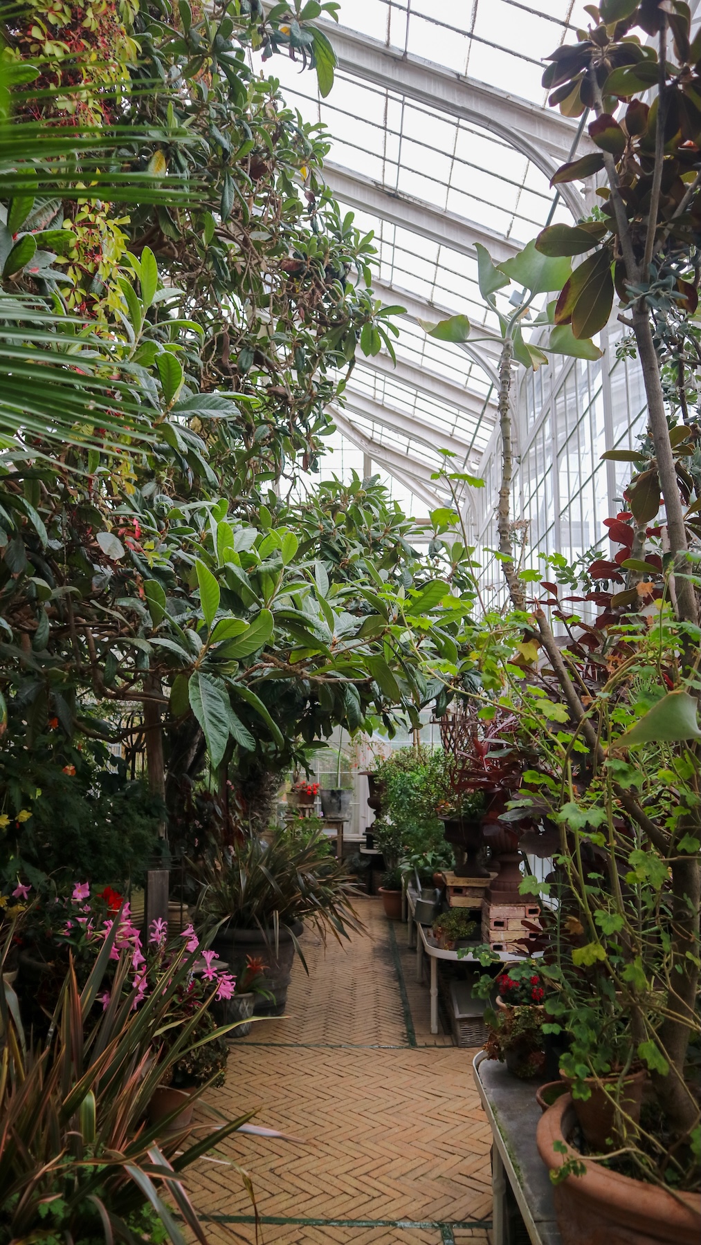 De kas van Paradehuset