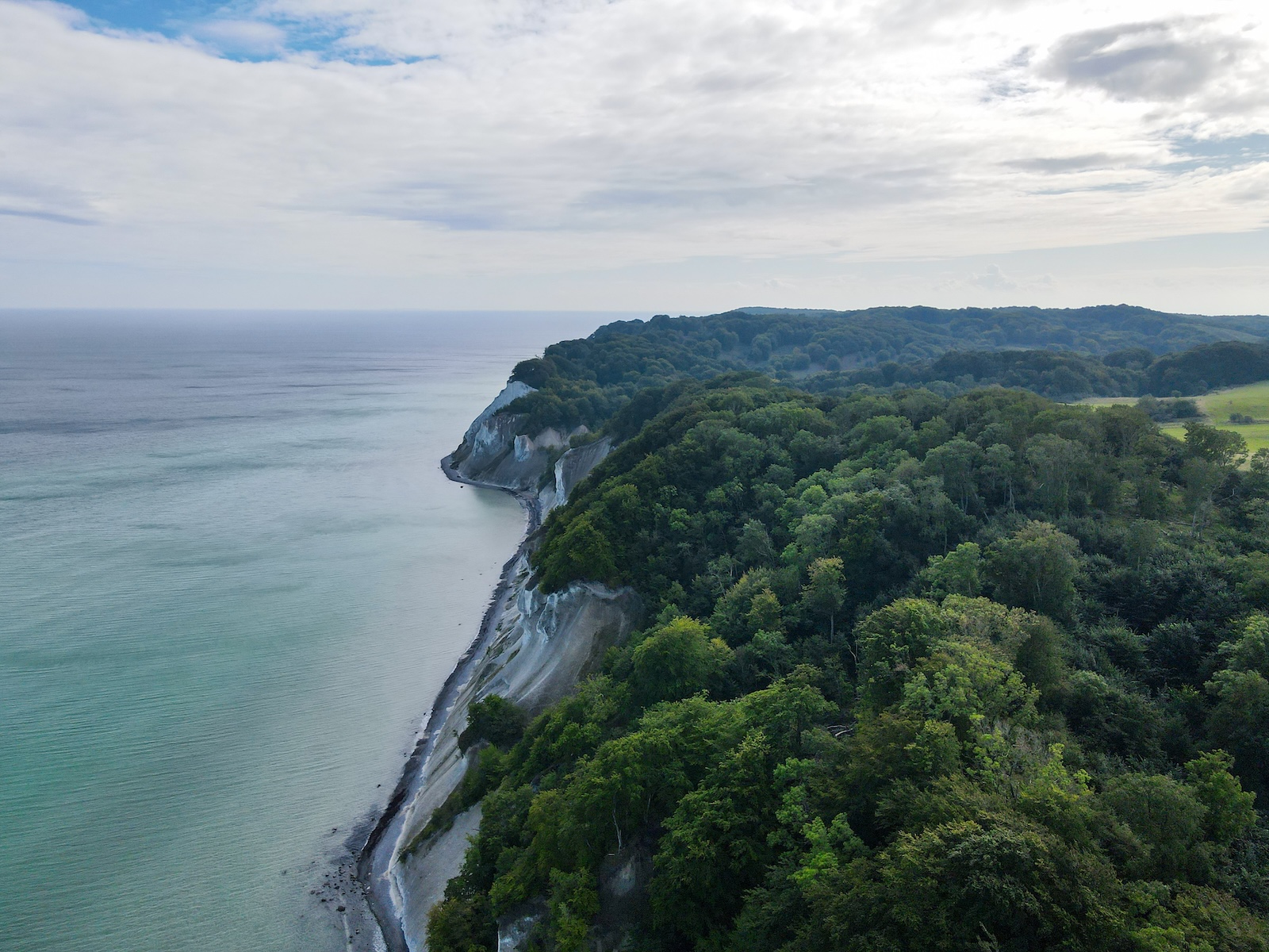 de krijtrotsen van Møns Klint