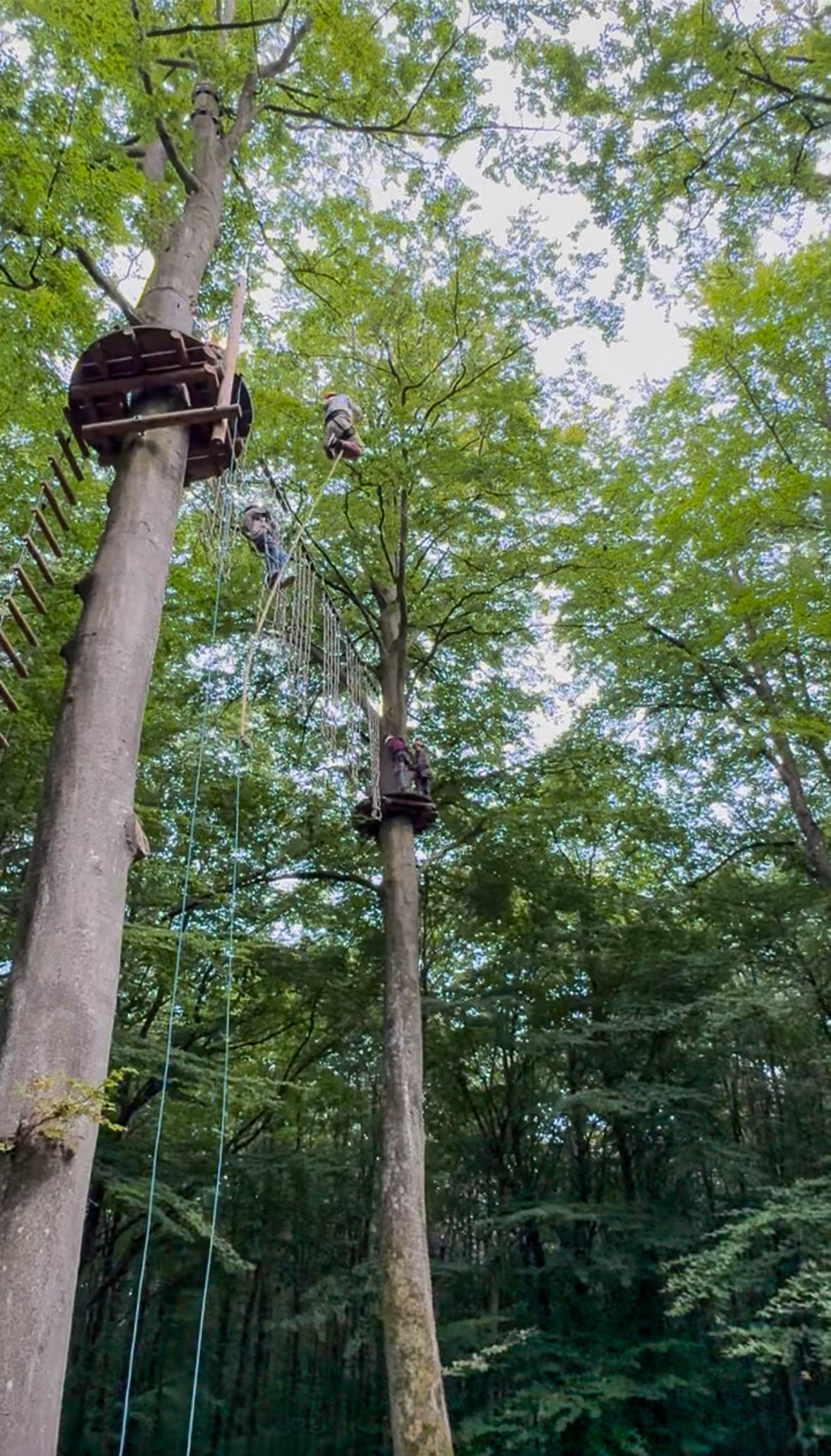 Klimpark van Camp Adventure in Denemarken