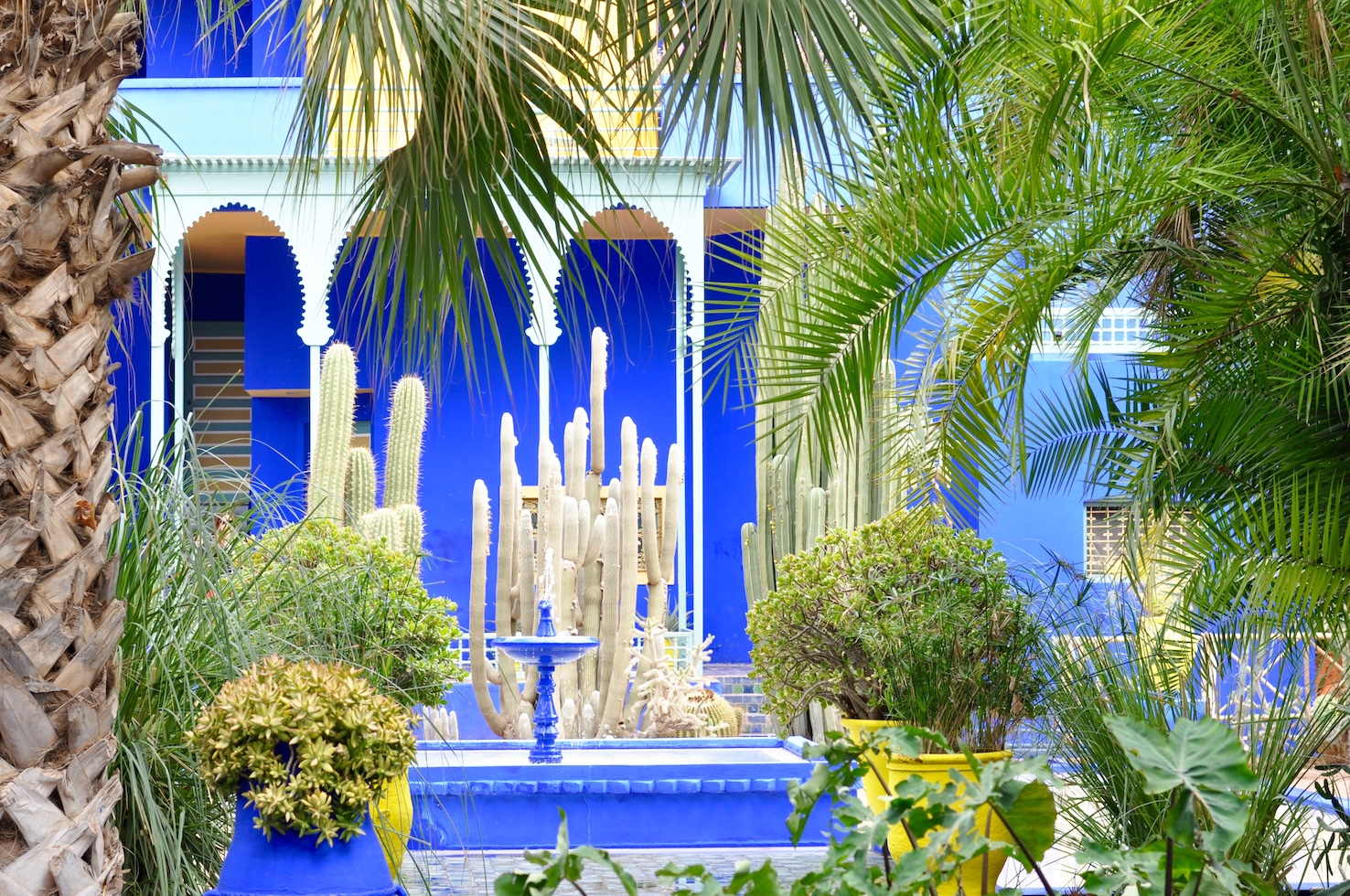 Jardin Marjorelle in Marrakech
