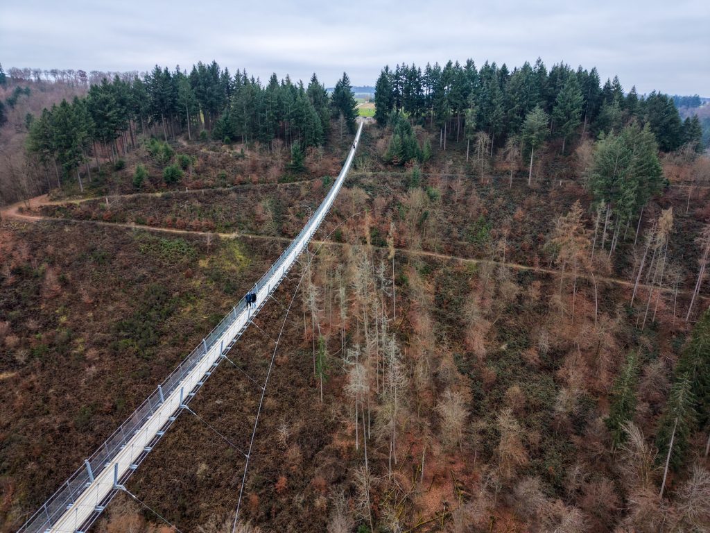Geierlay hangbrug