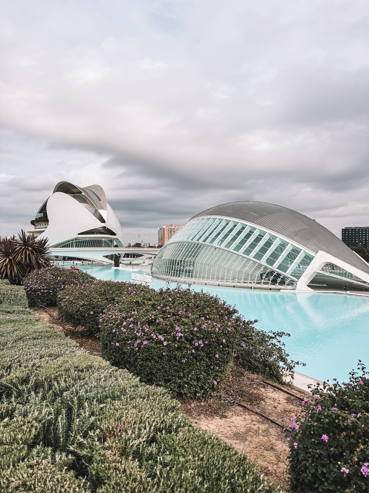 Ciudad de las Artes y las Ciencias in Valencia