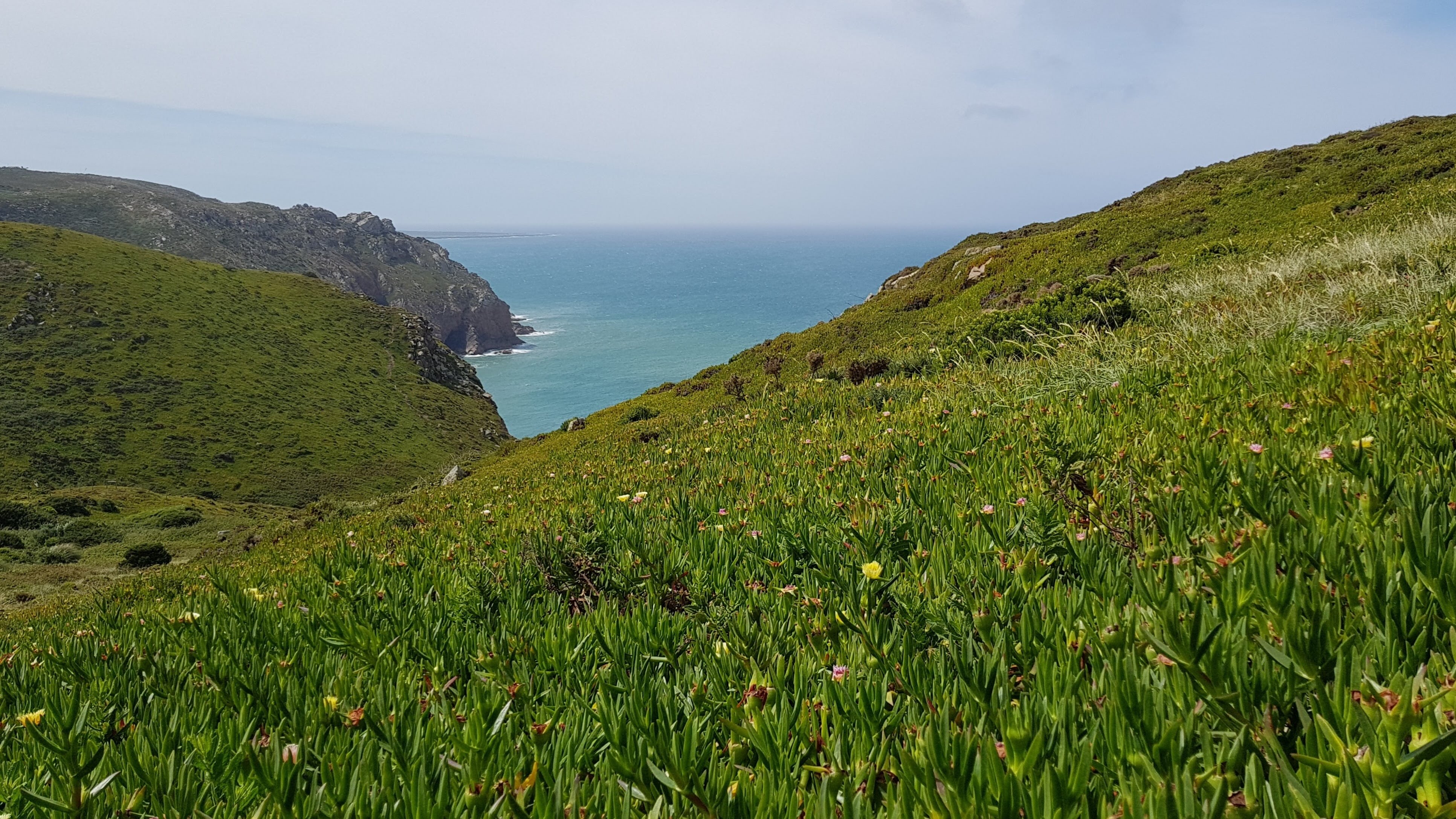Wandelen aan de westkust van Portugal