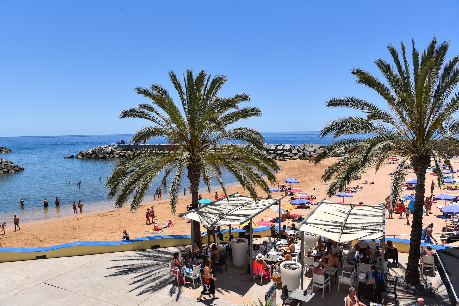 Strand met palmbomen op Madeira