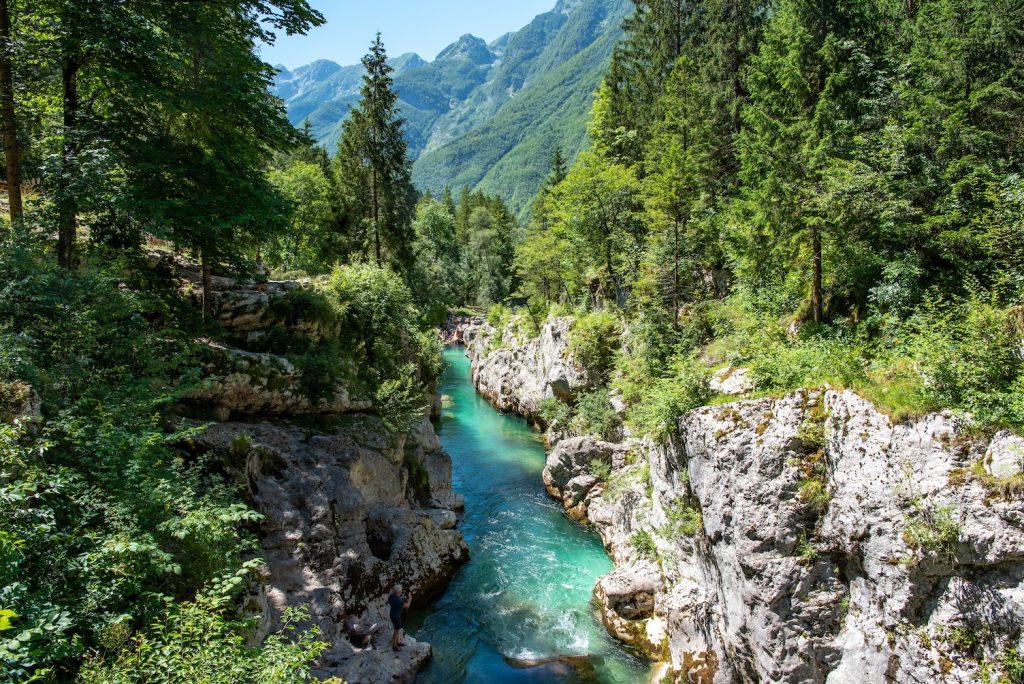 Ongerepte natuur in Triglav Nationaal Park in Slovenië