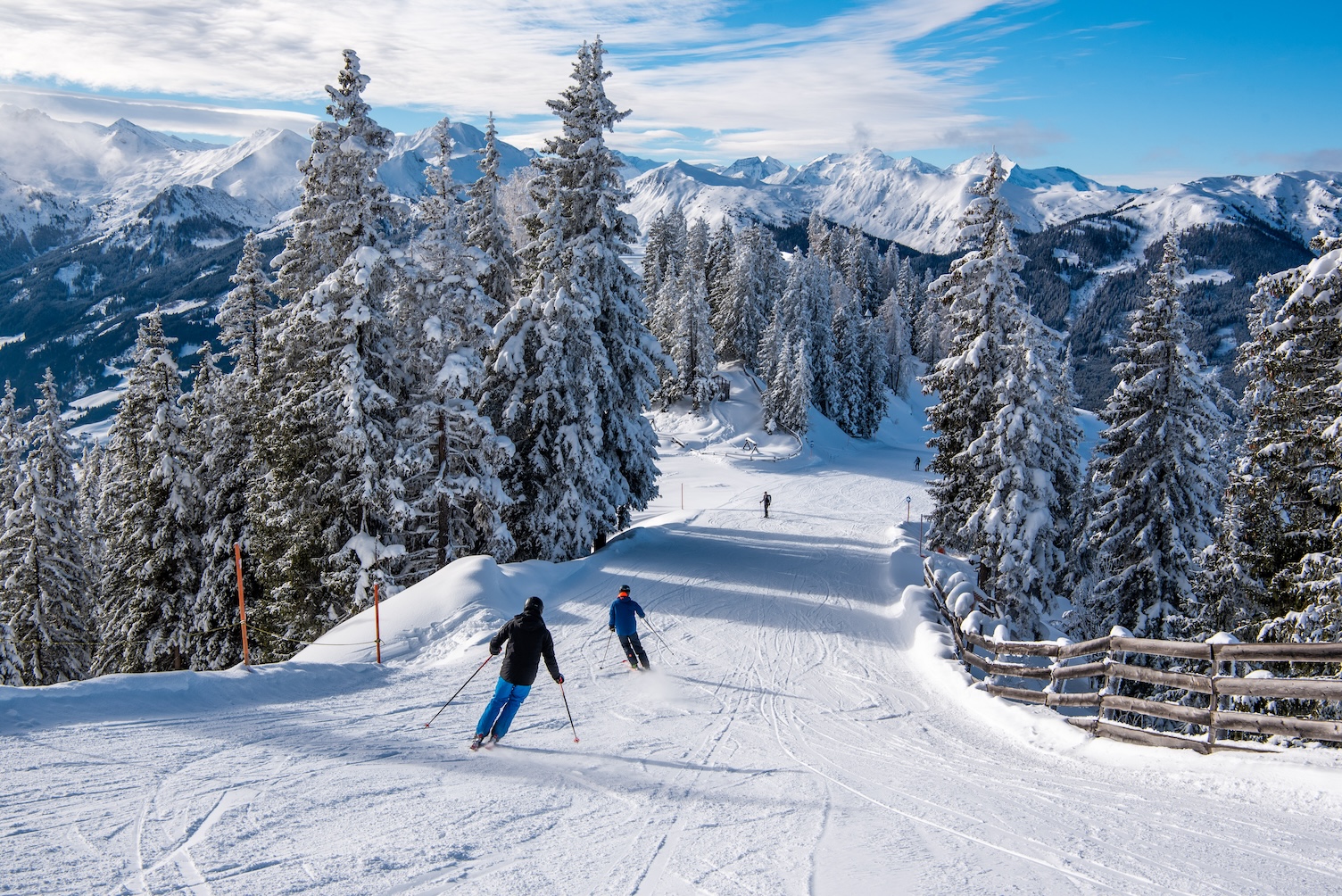 Skiërs tussen de besneeuwde bomen