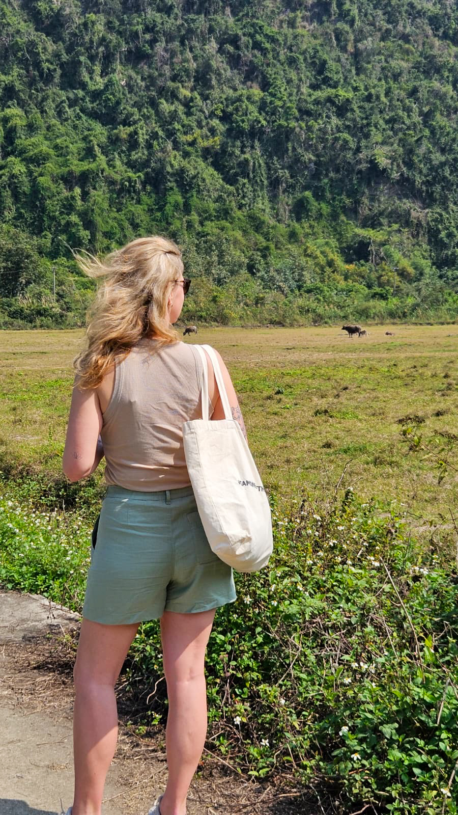 Cat Ba Island