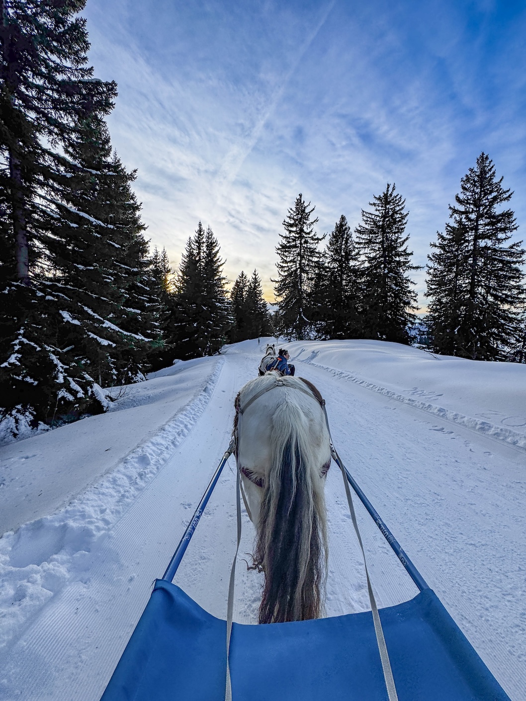 Ski joering in Avoriaz