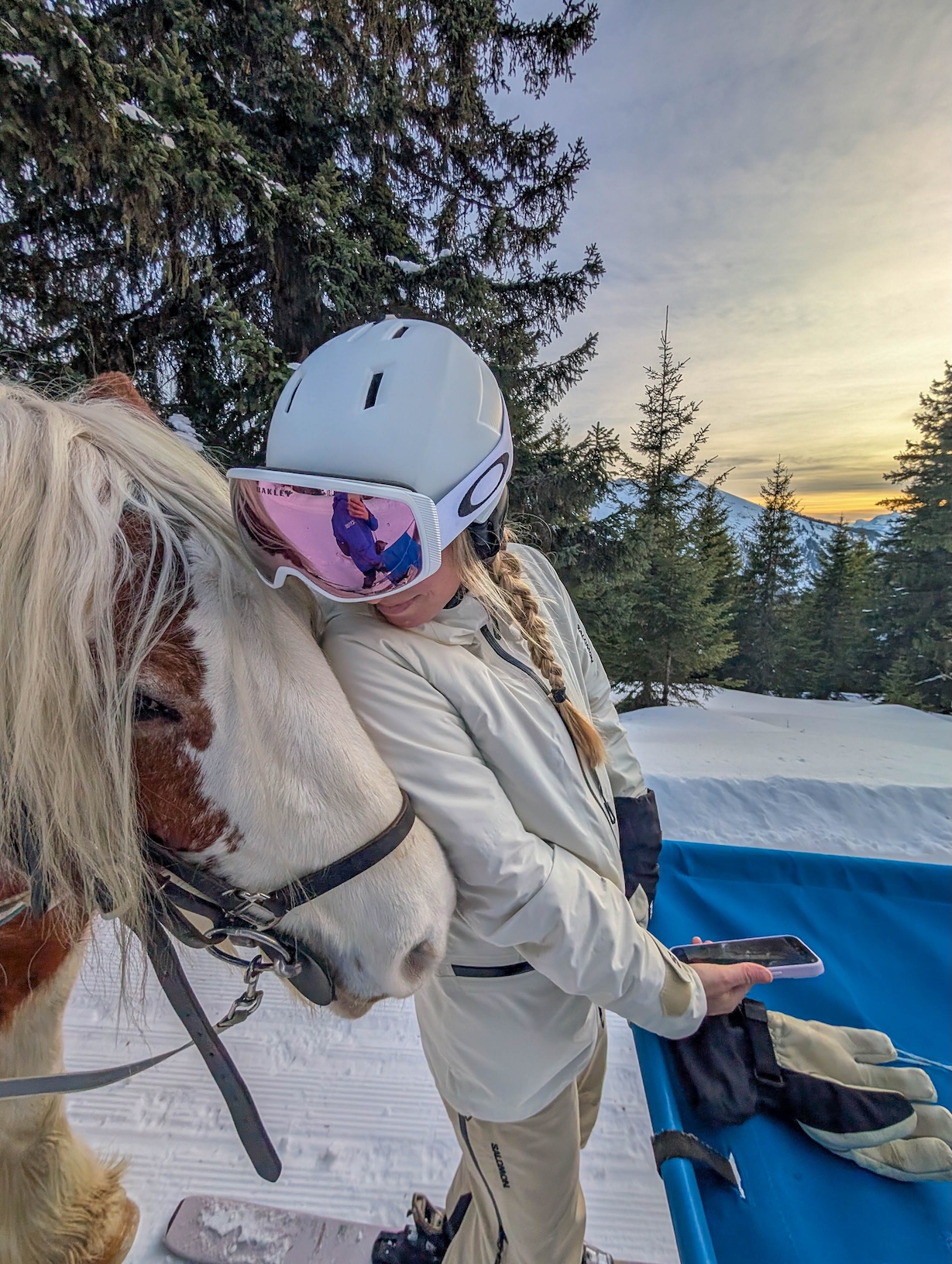 Ski Joëring in Frankrijk
