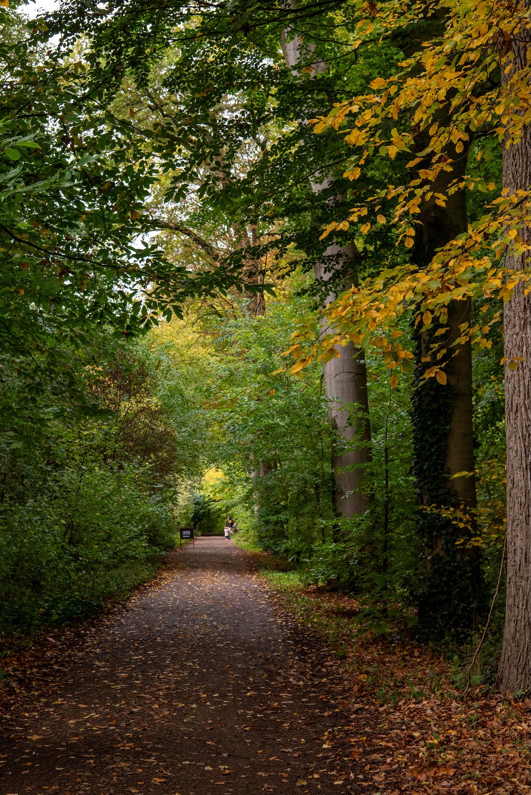 Bossen van Amelisweerd