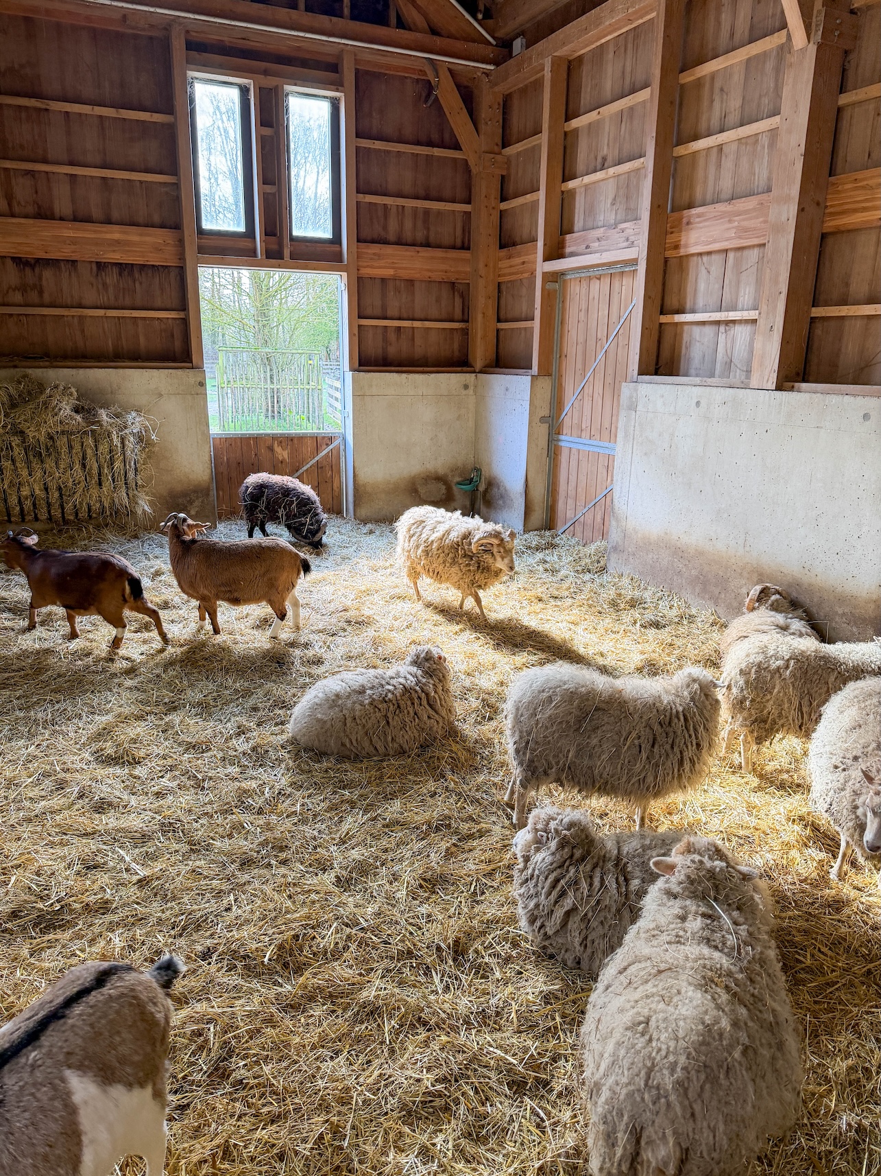 Ferme BelleVie