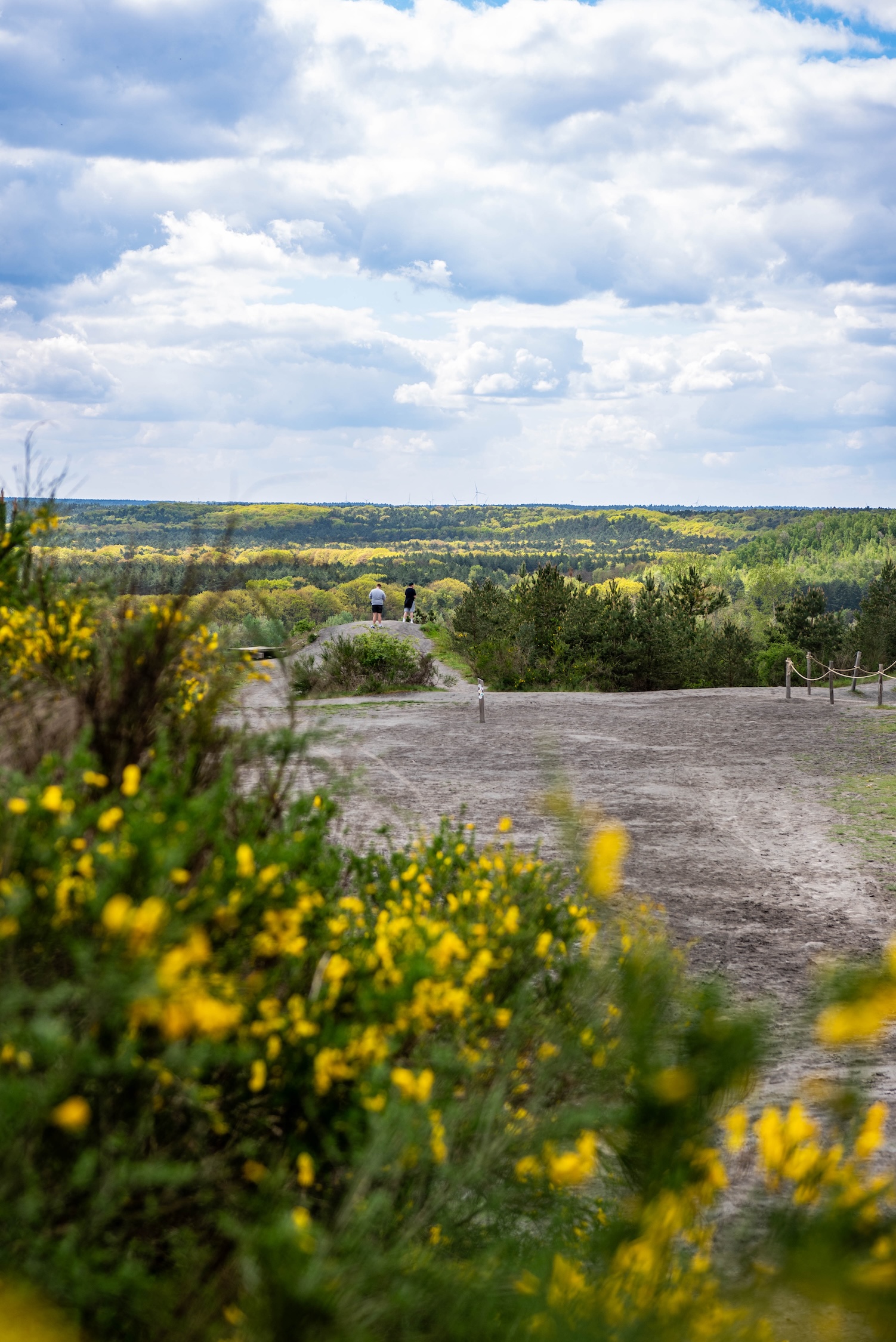 Wandelen in Terhills, Vlaanderen