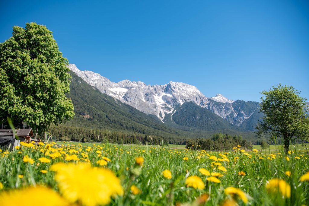Mieminger Plateau in de zomer