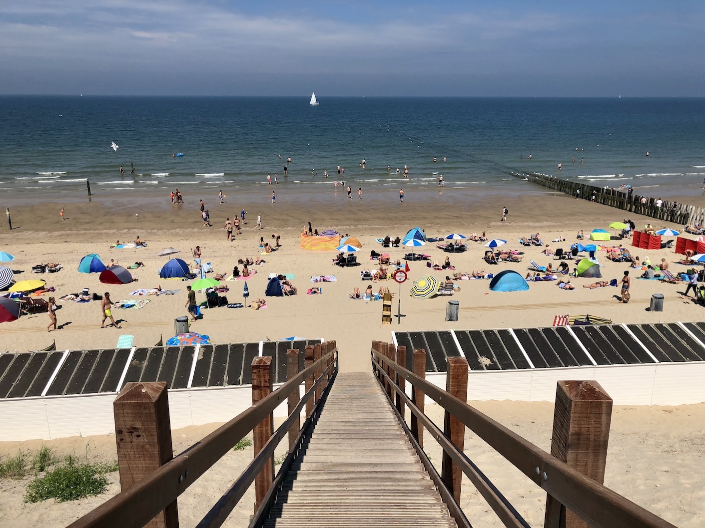 Drukke stranddag in Domburg