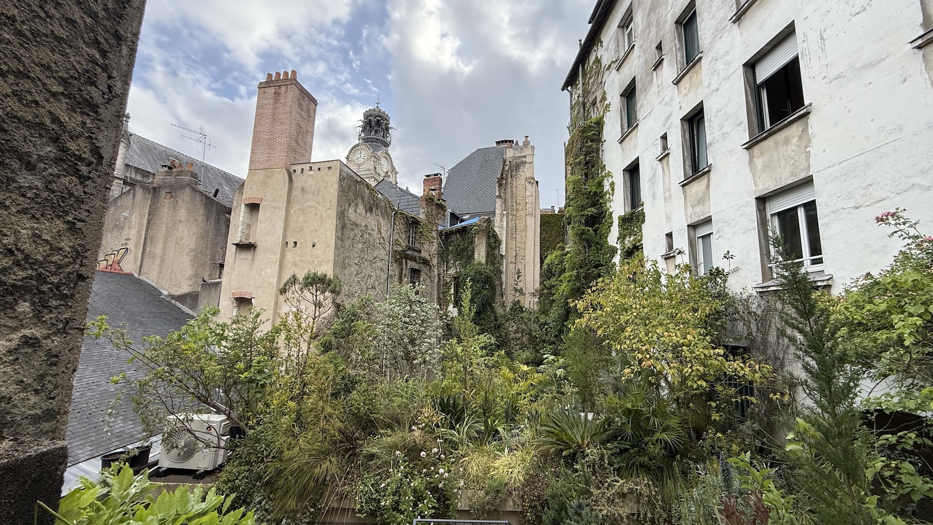 Urban Jungle in Nantes