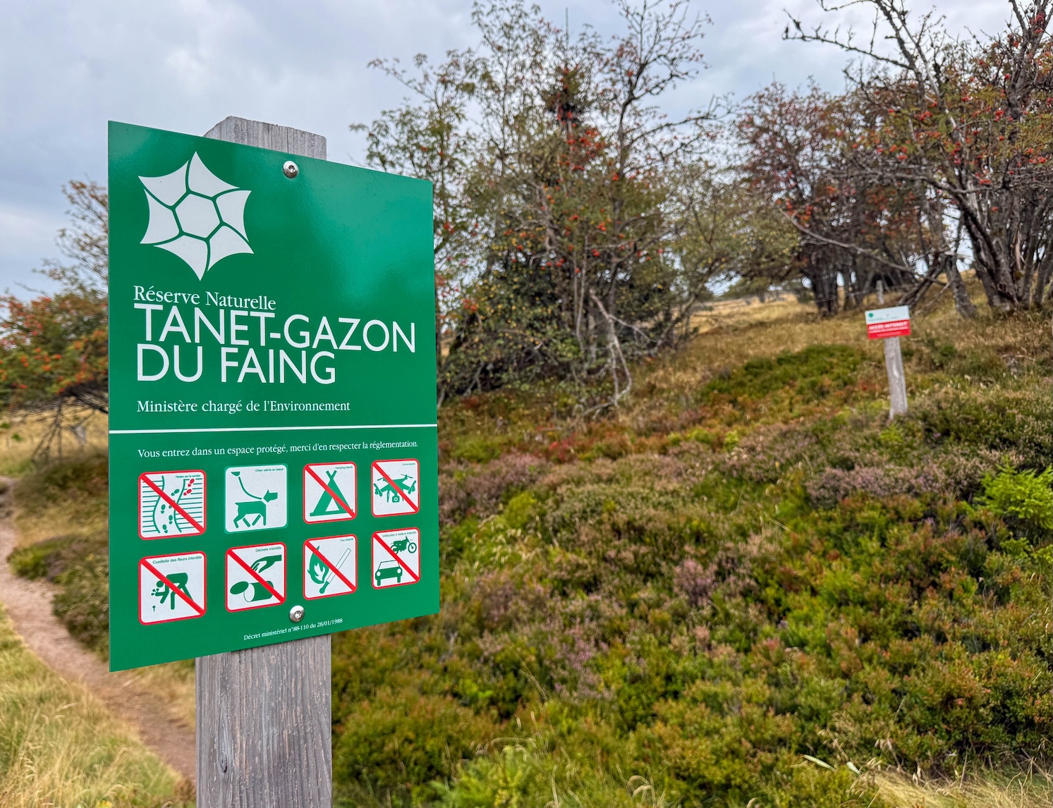 Beschermd natuurgebied Tanet-Gazon du Faing