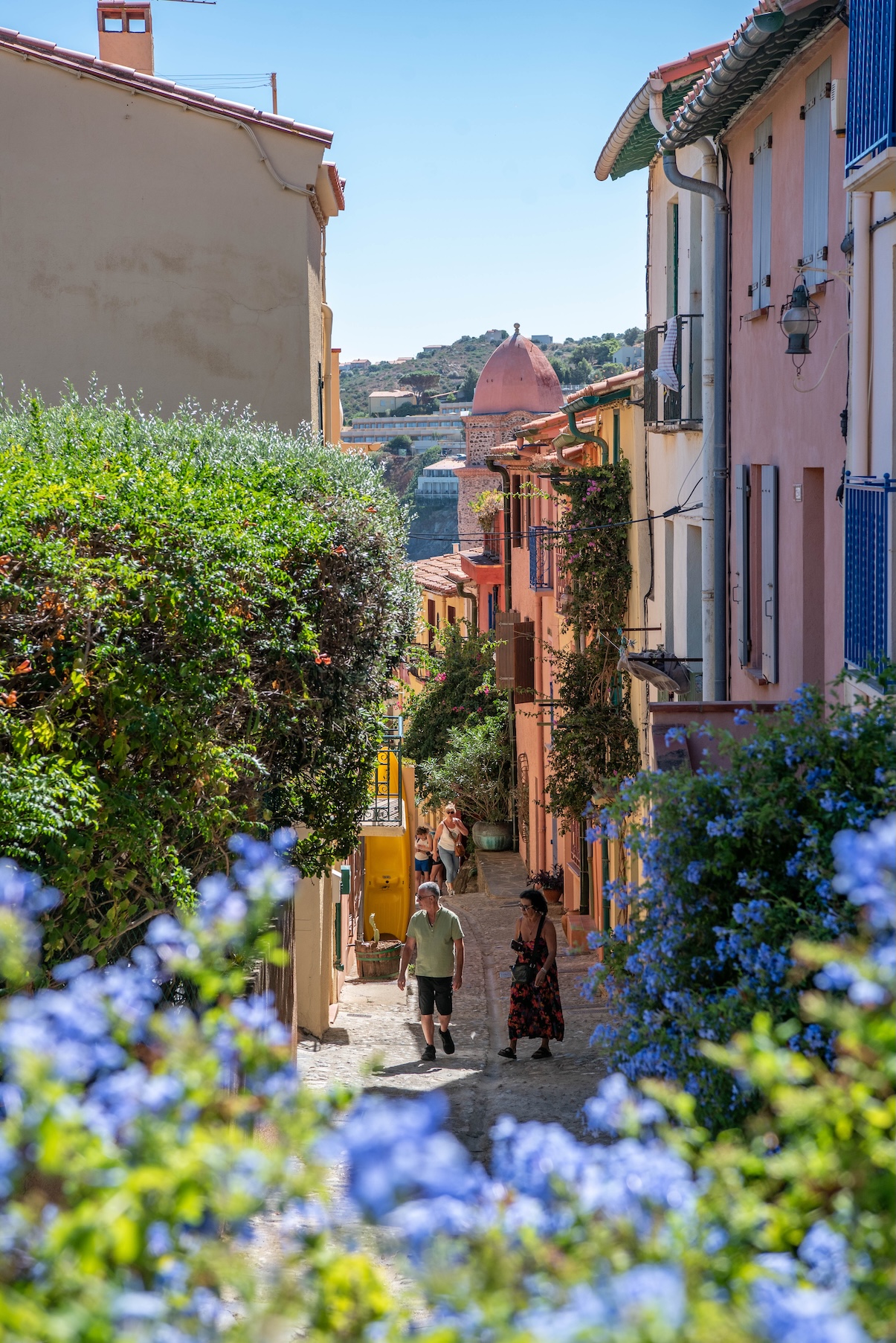 Straatje in Collioure