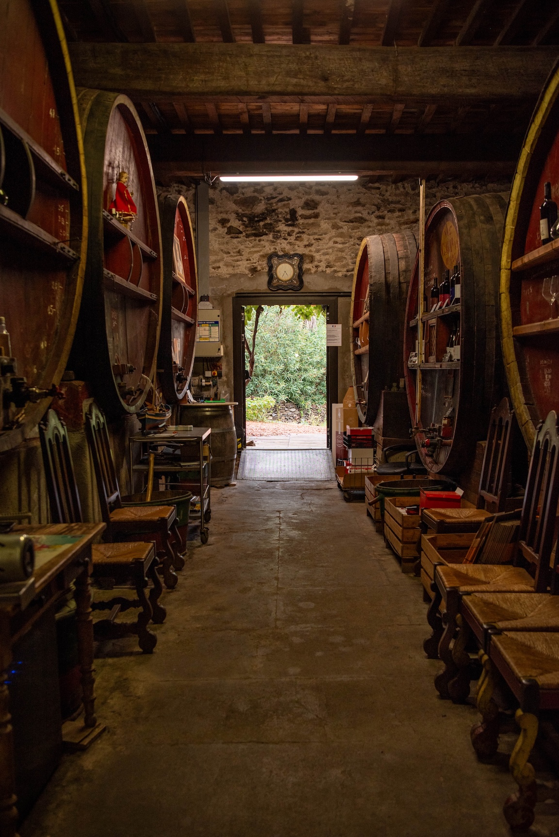 Domaine Berta Maillol