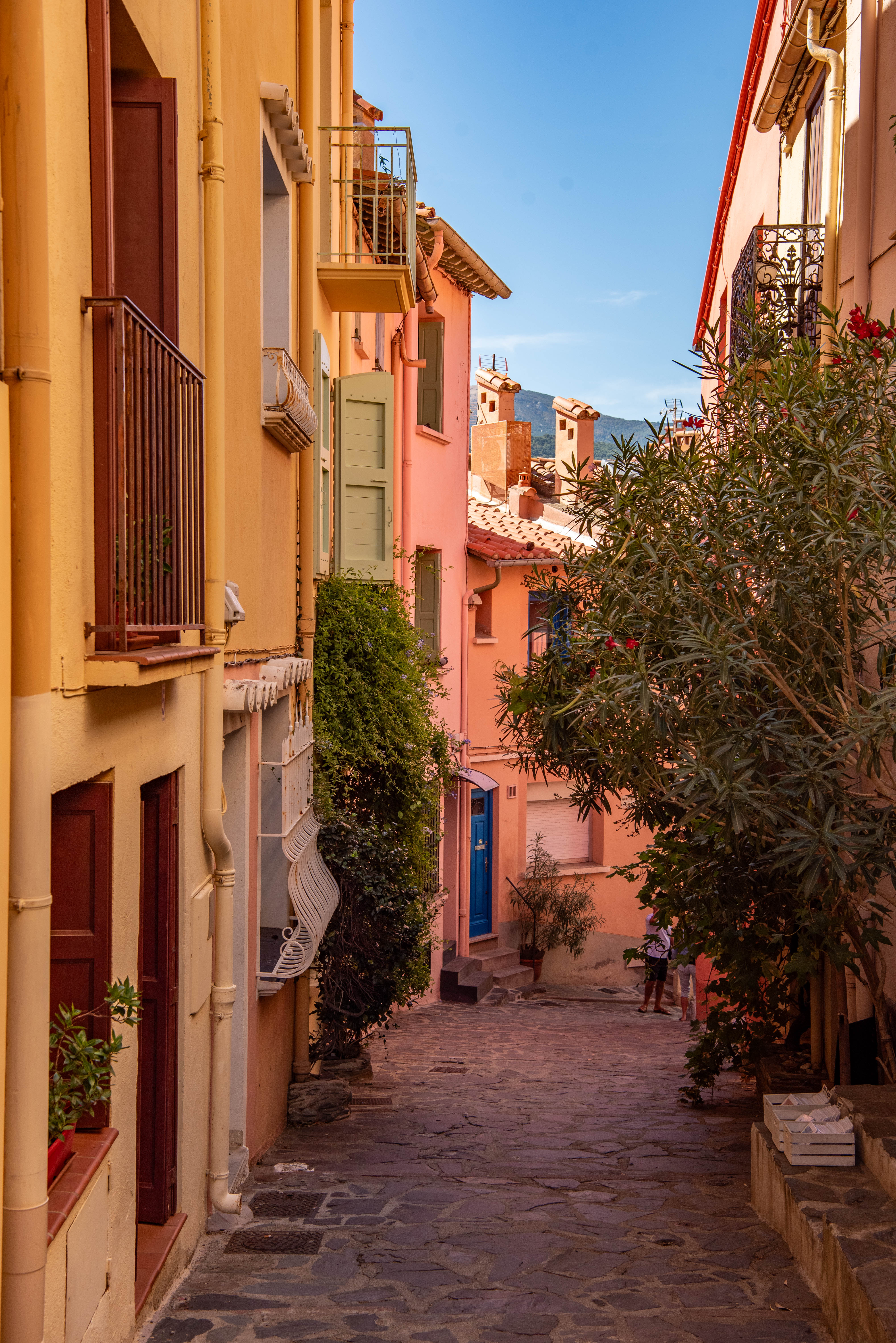 Kleurrijke straat in Collioure