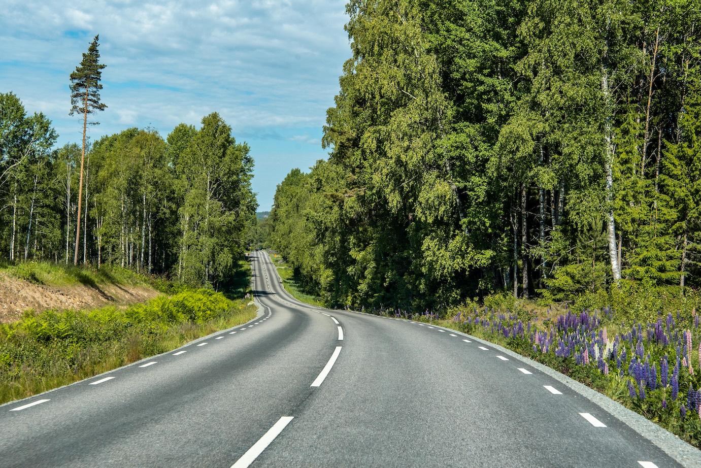 Mooie weg in Zweden