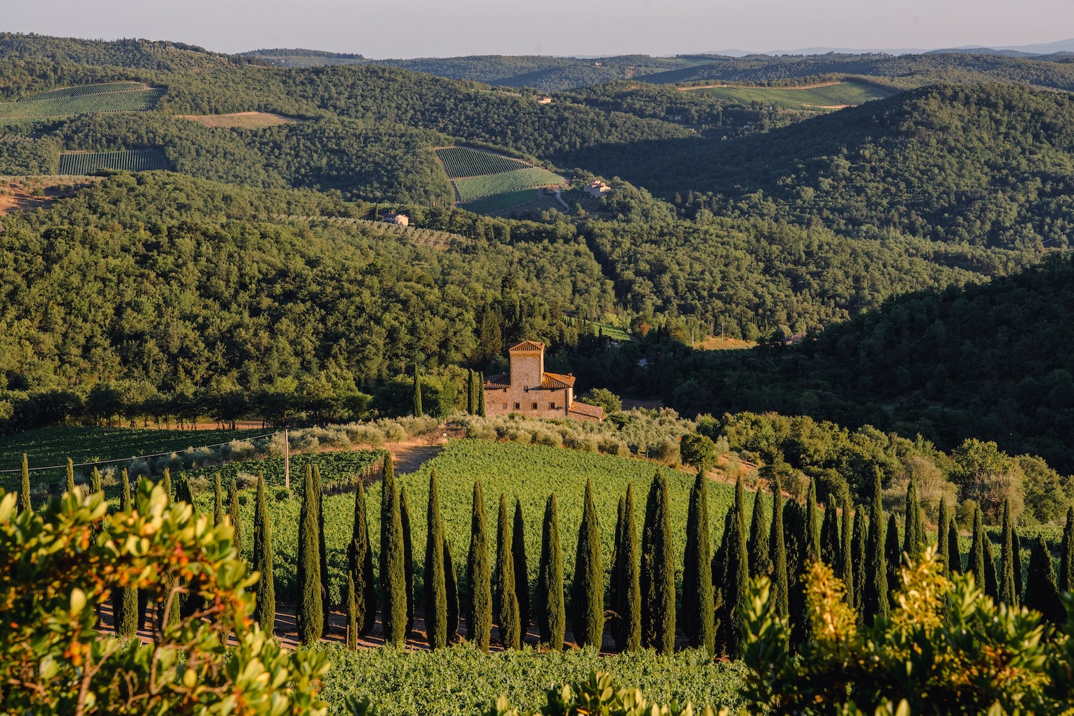 Uitzicht op de Chianti-streek en de wijnvelden