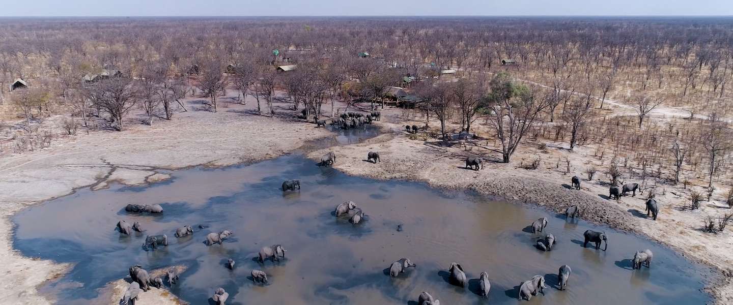 afrikaanse-wildernis.jpg