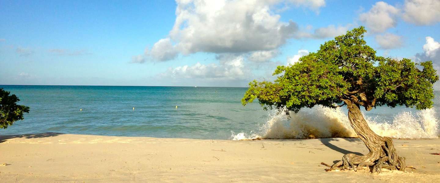 aruba-eiland-1.jpg