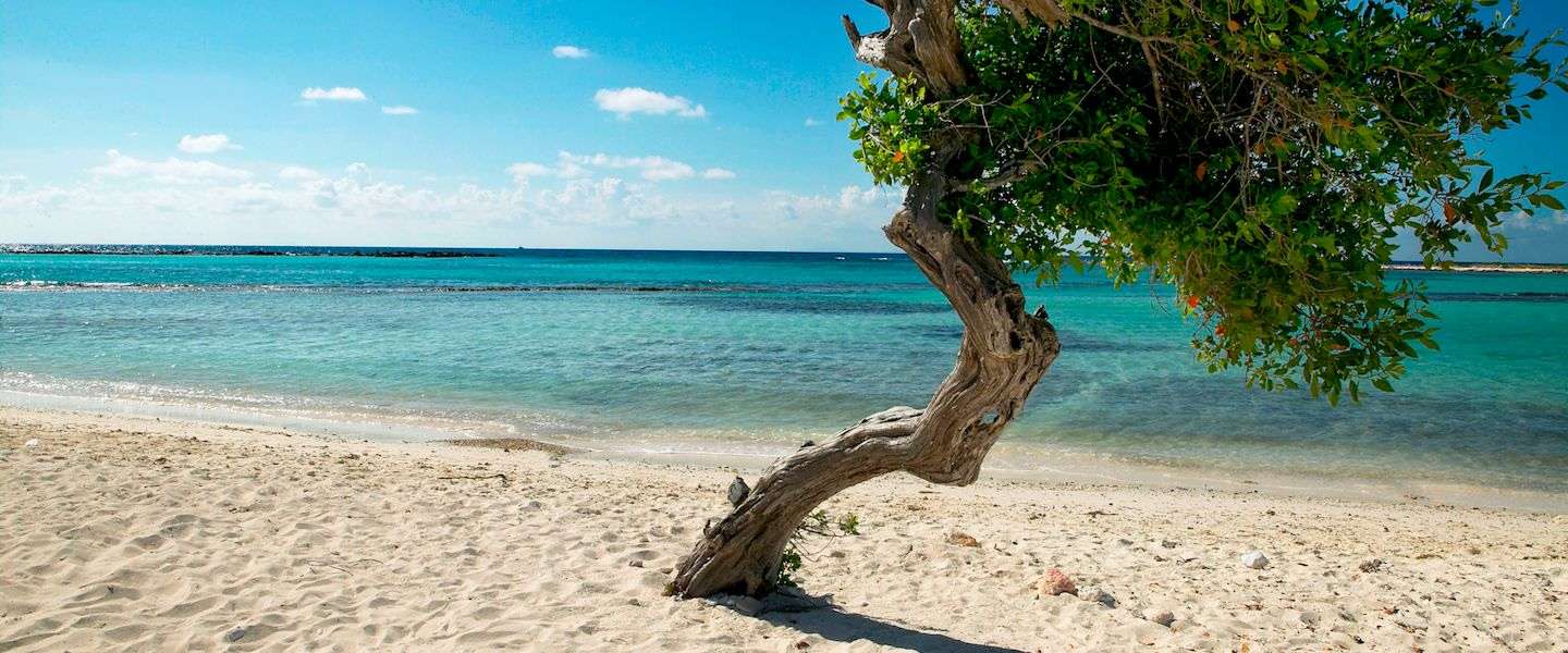 aruba-festivals-zomer.jpg