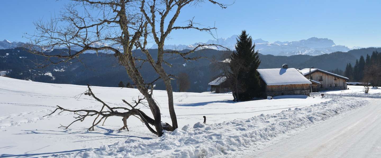 avontuur-portes-du-soleil.jpg