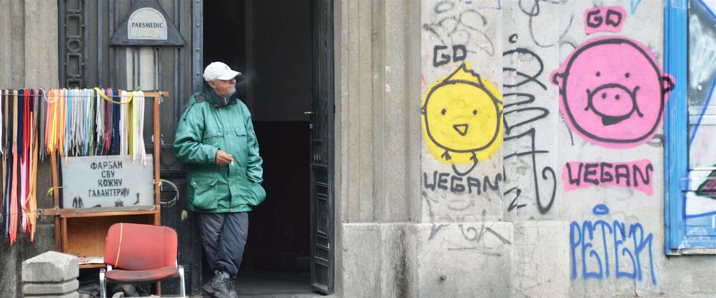 belgrado-citytrip.jpg