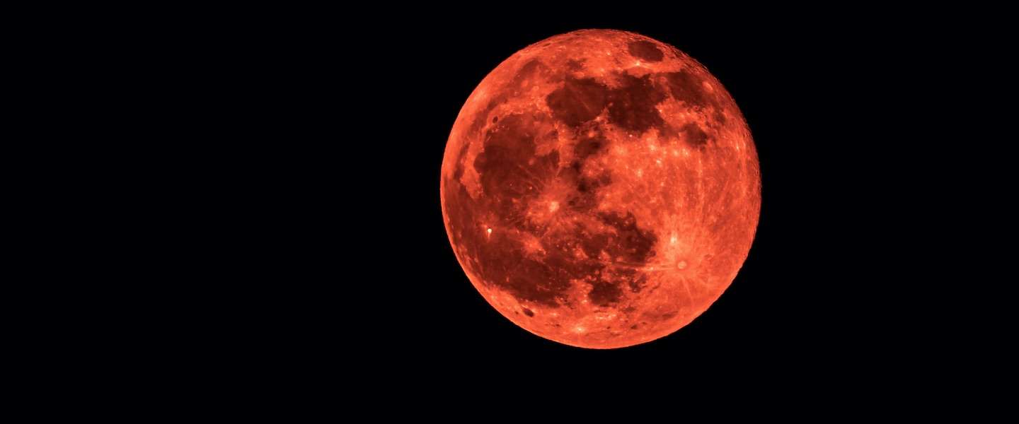 bloedmaan.jpg