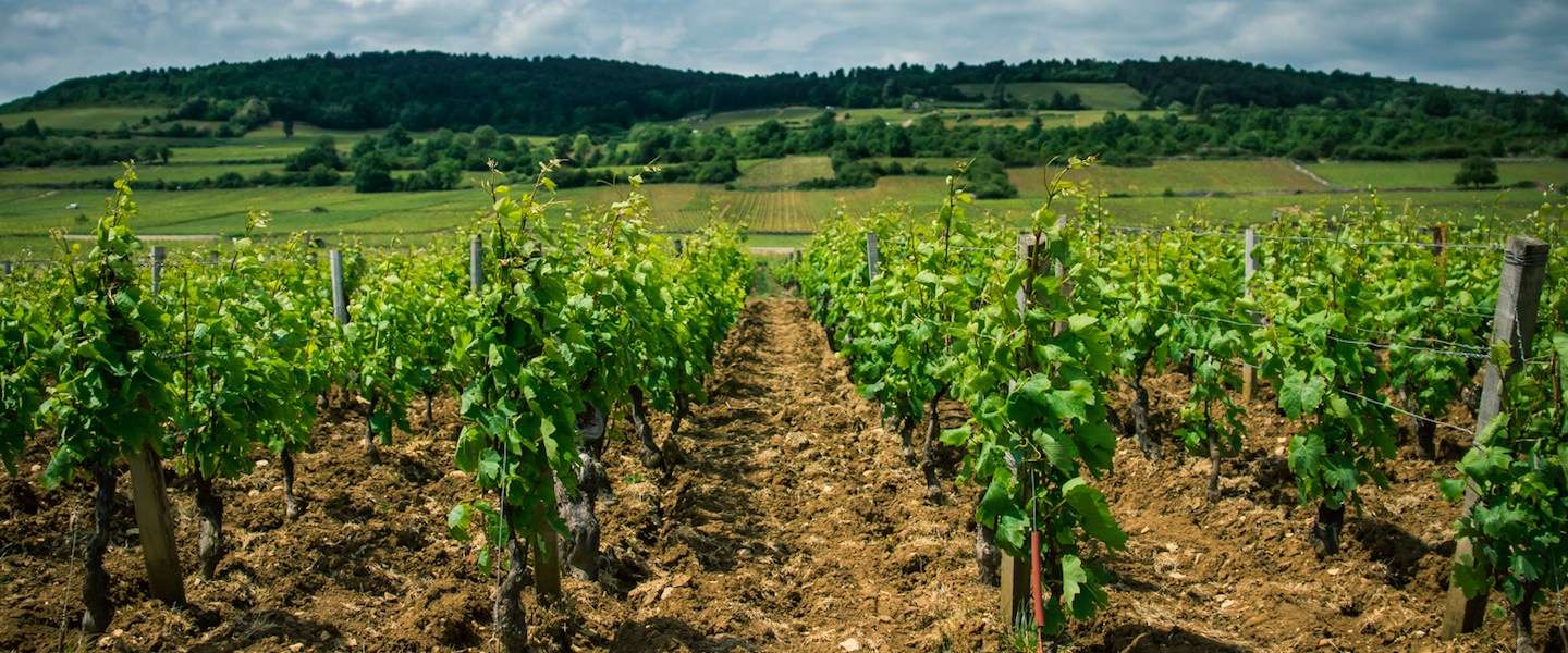bourgogne-frankrijk.jpg