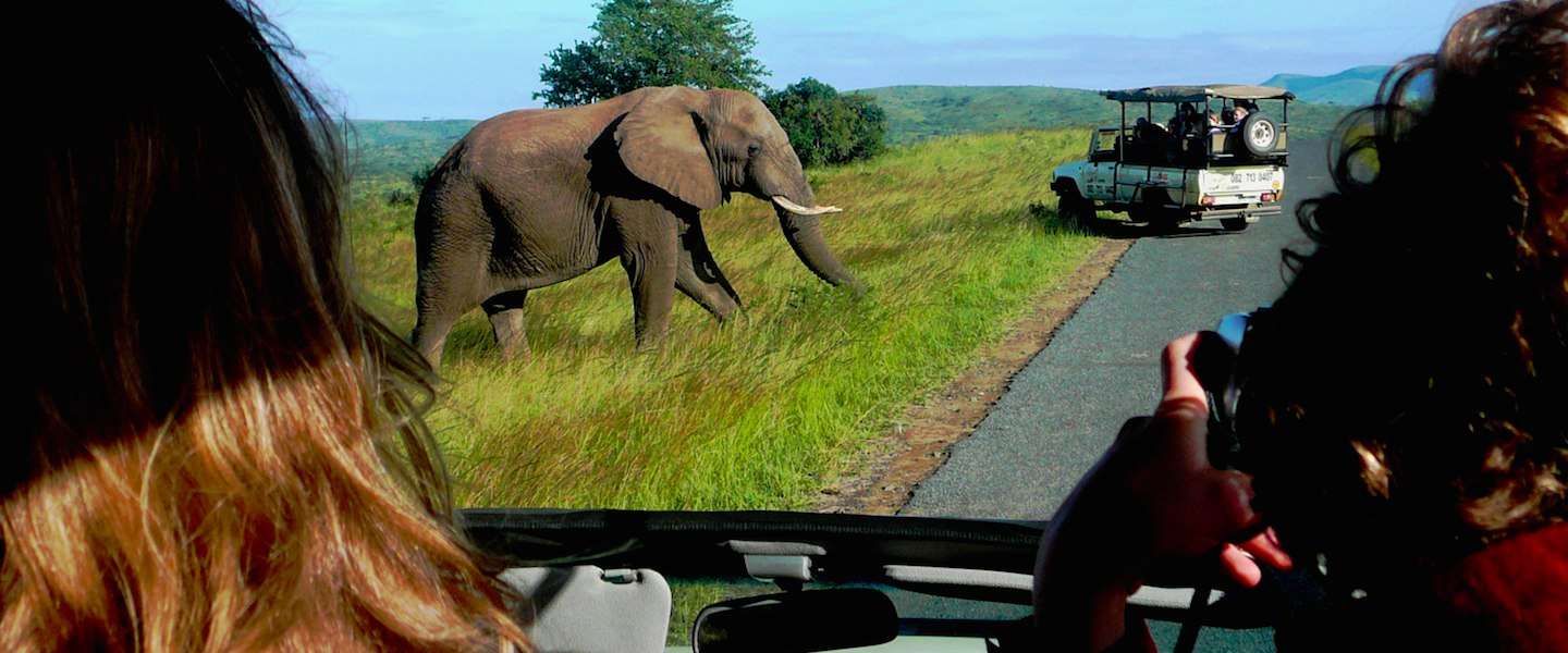 bucketlist-safari.jpg