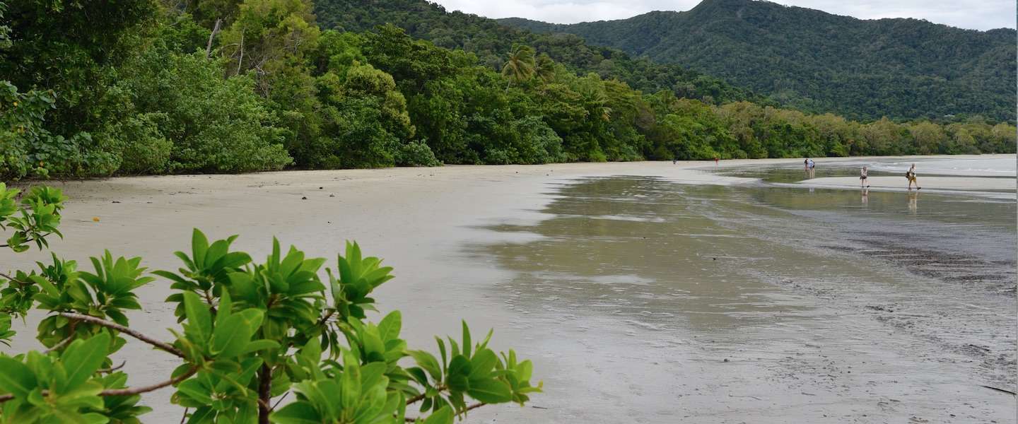 cape-tribulation-australie.jpg