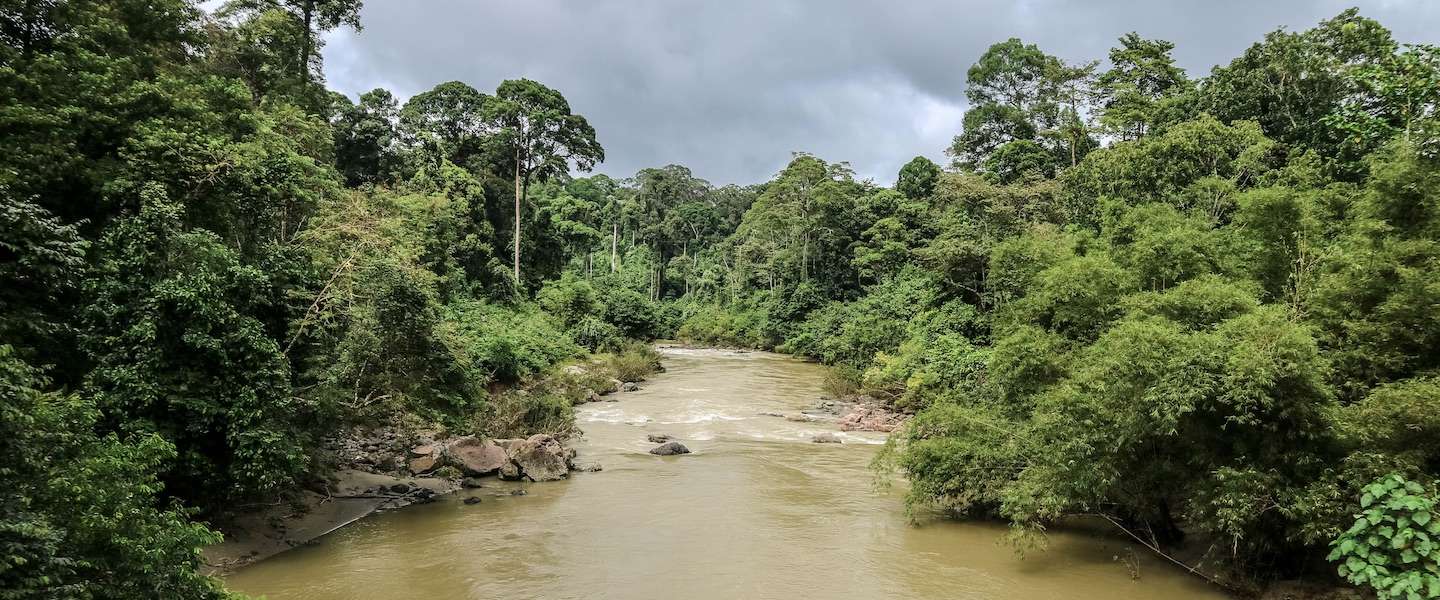 danum-valley-borneo.jpg