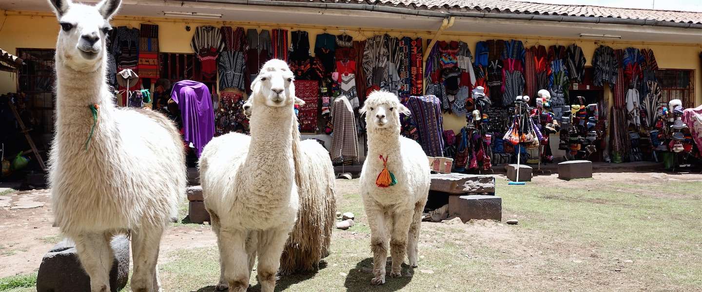 doen-cuzco-peru.jpg