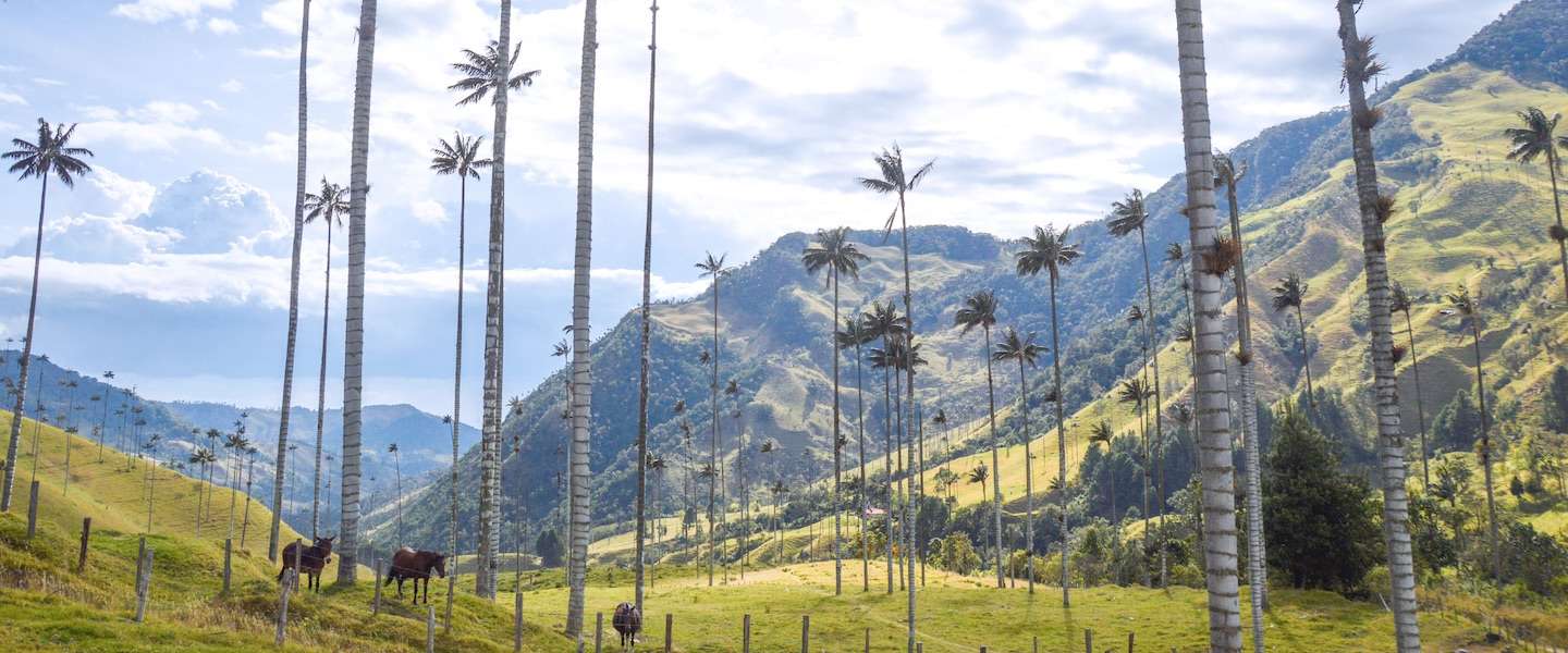 doen-salento-colombia.jpg