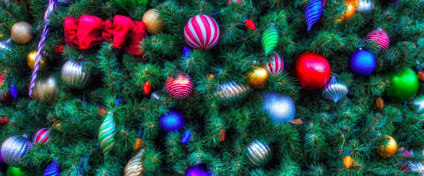 kerstboom-header.jpg