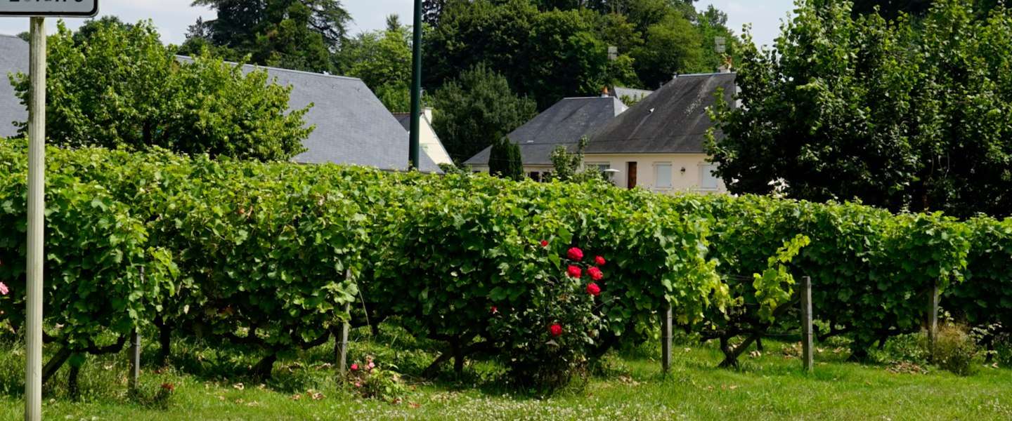le-loir.jpg