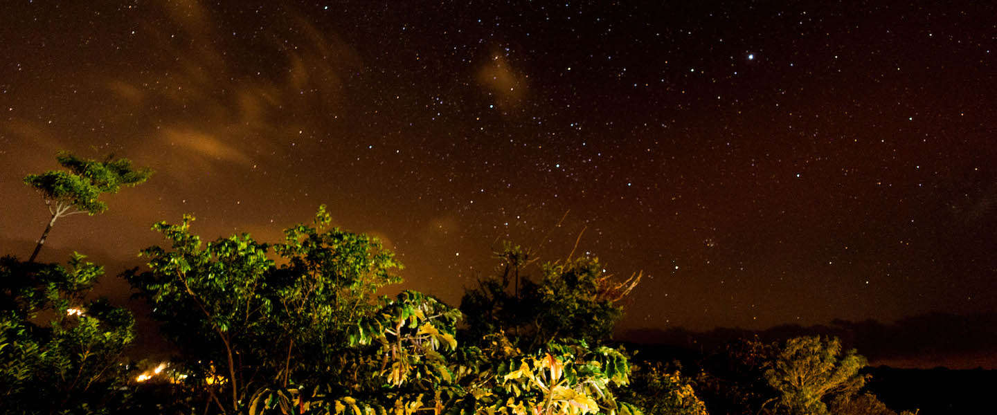 monteverde-forest-costarica.jpg