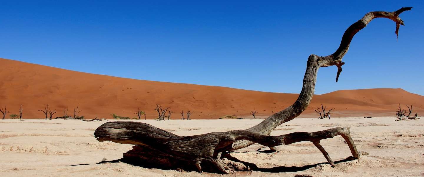 namibie.jpg