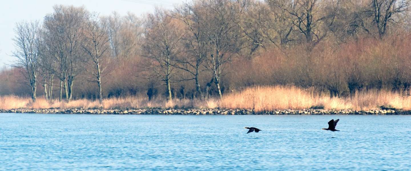 natuur-nl-street-view.jpg