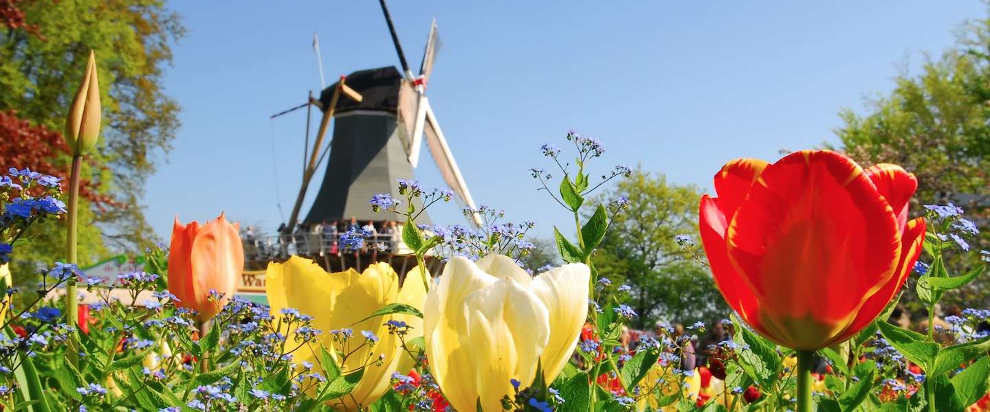 nederland-land-toekomst.jpg