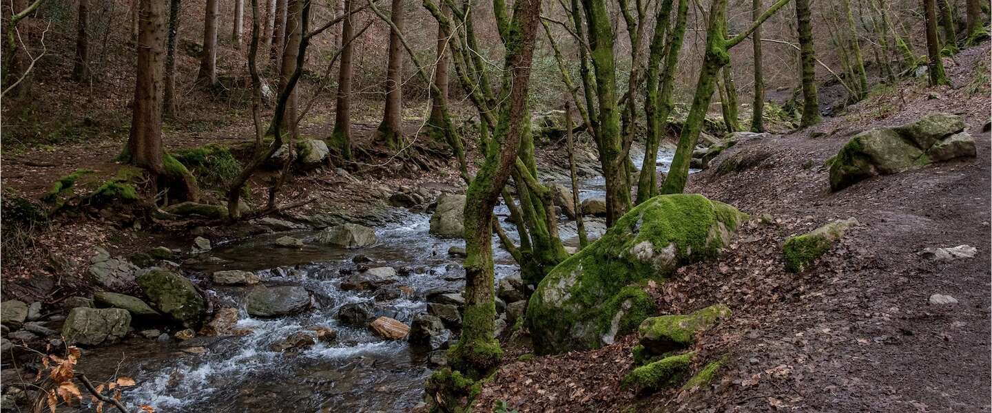 ninglinspo-wandeling.jpg