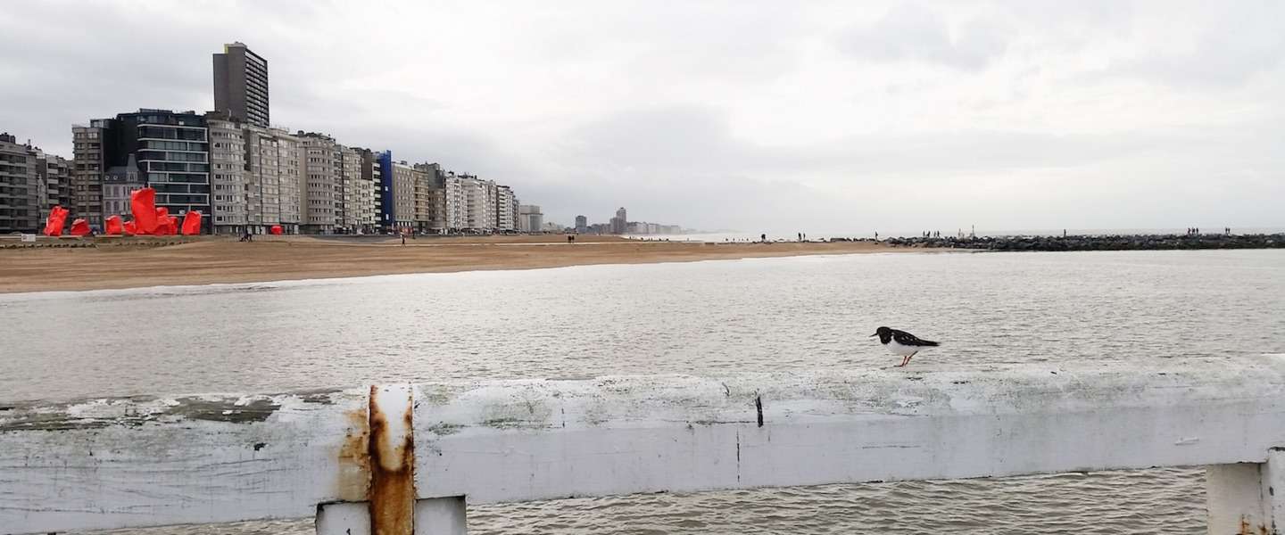 oostende-uitwaaien-winter.jpg