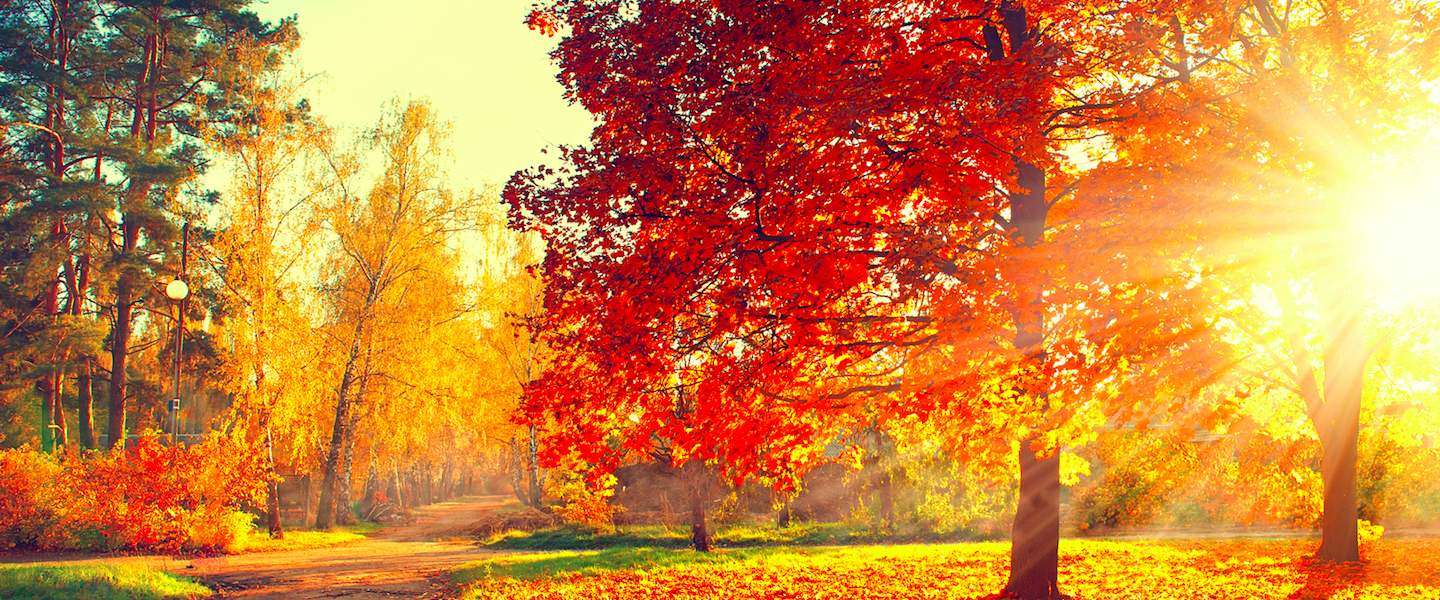 op-vakantie-in-de-herfst.jpg