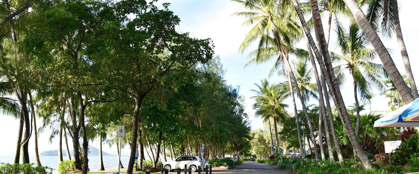 palm-cove-australie.jpg