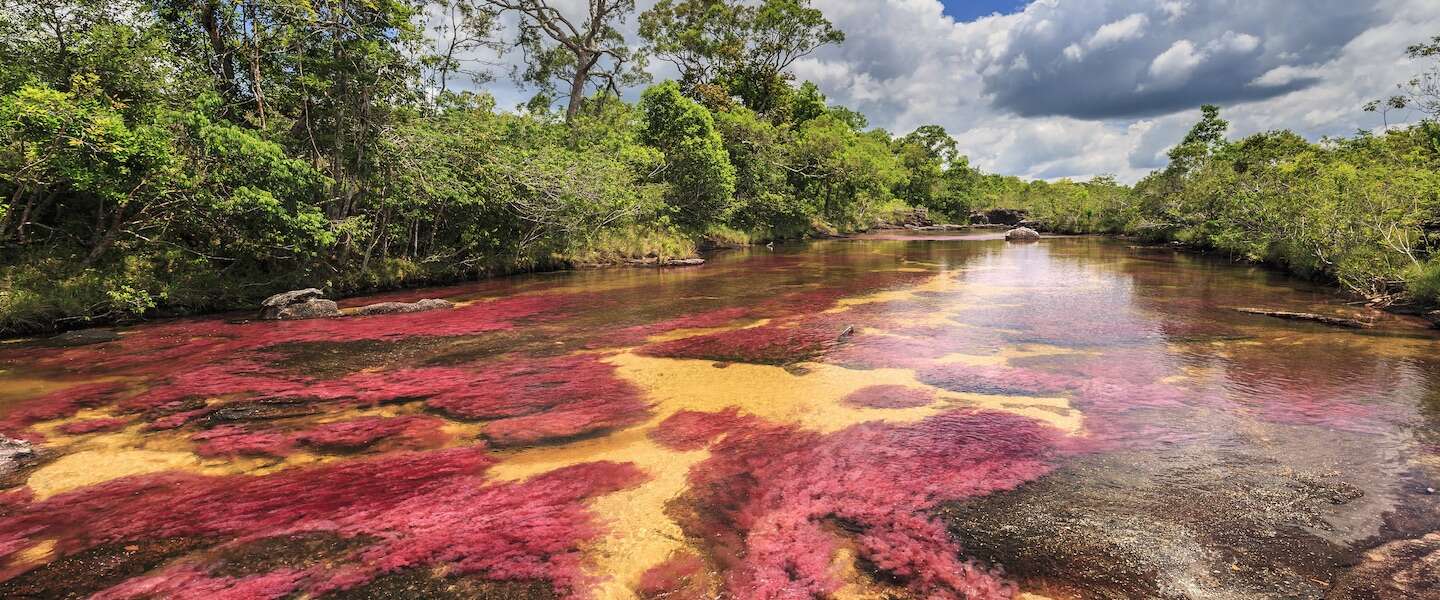 regenboog-rivier-colombia.jpg