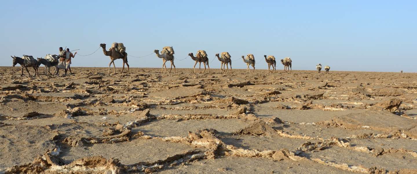 reis-ethiopie.jpg